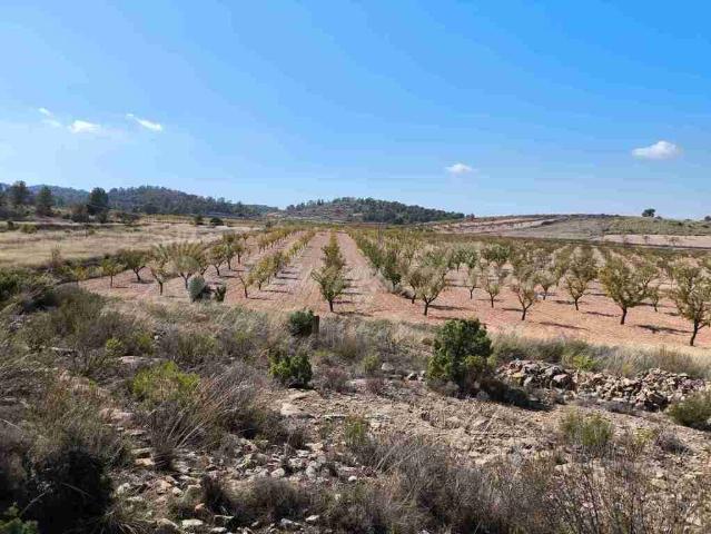 Suelo rústico en Venta en Jumilla Murcia