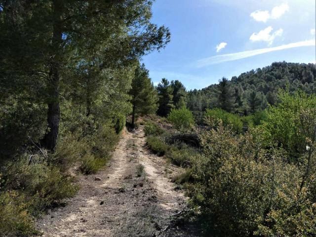 Suelo rústico en Venta en Lledo Teruel