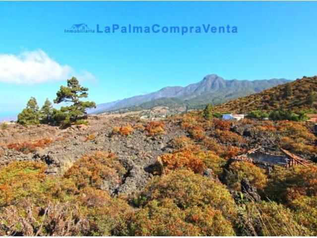 Suelo rústico en Venta en Paso, El Santa Cruz de Tenerife