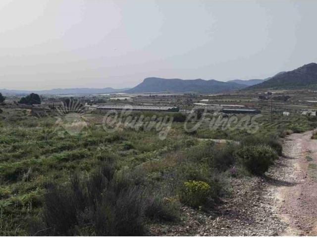 Suelo rústico en Venta en Romana, La Alicante