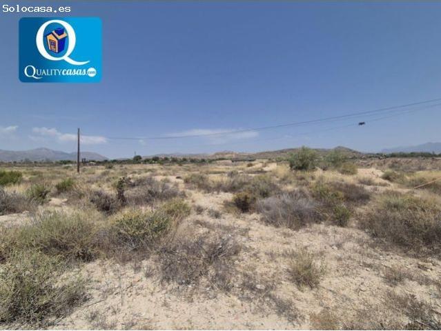 Suelo rústico en Venta en San Vicente Del Raspeig Alicante Ref: 16413
