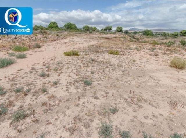 Suelo rústico en Venta en San Vicente Del Raspeig Alicante Ref: 18427