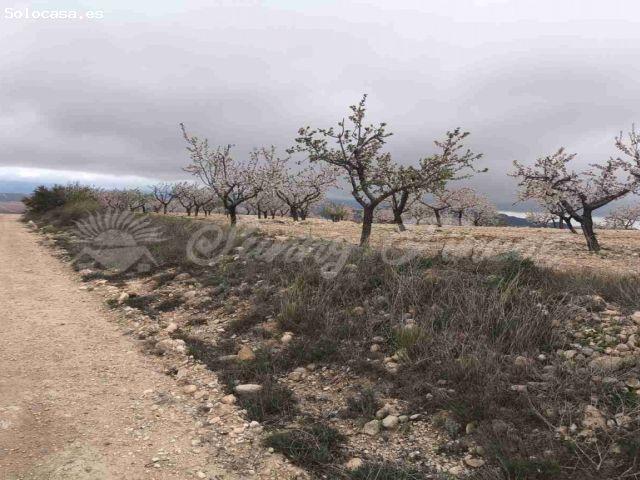 Suelo rústico en Venta en Yecla Murcia