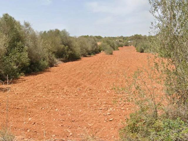 SUELO RÚSTICO PARA CONSTRUIR, SES SALINES