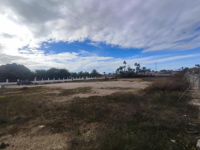Suelo situado en Elche