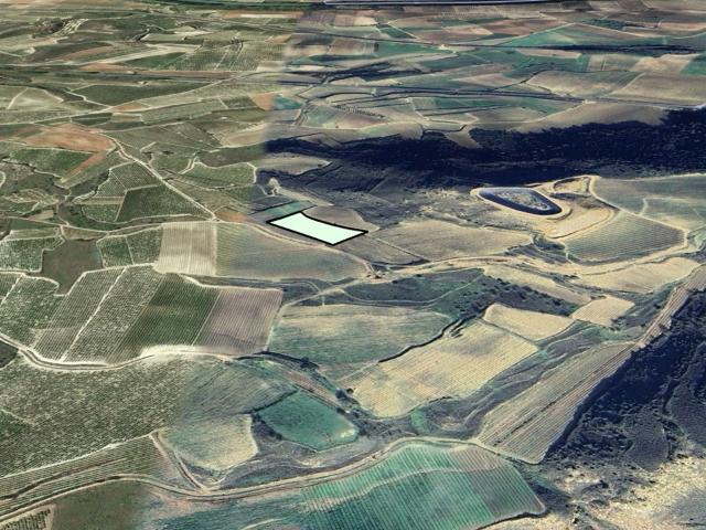 Suelos rústicos en C/ Polígono 8 Parcela 104 y 165 Nº 8