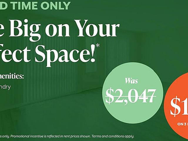Suites Are Complete With Fridge, Stove, Dishwasher, And In suite