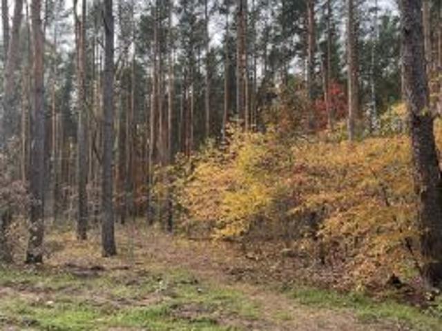 Sulejówek, ul. Muzyczna, 1357 m² Działka