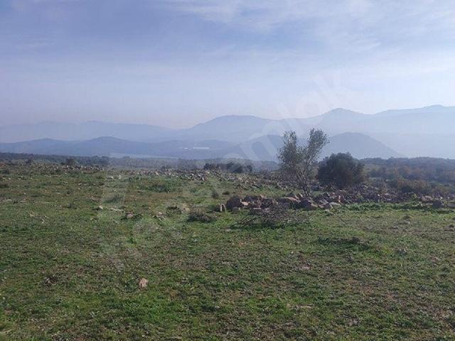 Süleymanlida 2100m2 Hisseli Tapu Tarla