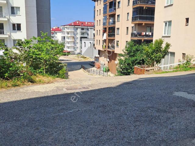 Sulh Emlak Giresun Teyyaredüzü Mah Kiralık Sıfır 3+1daire