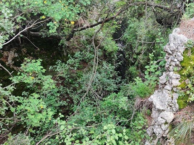 SÜPÜRGELİKTE1921 M2 KELEPİR TARLA
