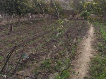 SUPER Terreno AGRICOLA EN VENTA A 5 MINUTOS DE LA PLAZA DE LUNAHUANA