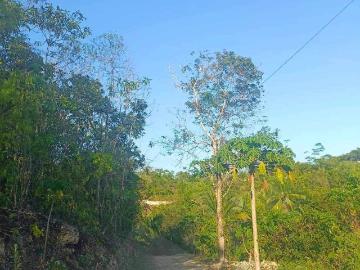 Super Affordable Big Savings Farm Lot For Sale in Sogod Cebu [Lots ] April 2025 in Sogod, Cebu for sale | FSBO / For Sale by Owner