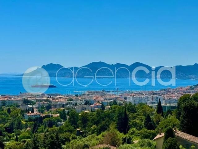 SUPER CANNES