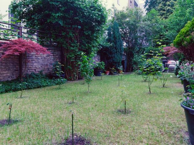 Super cool studio flat in Schöneberg