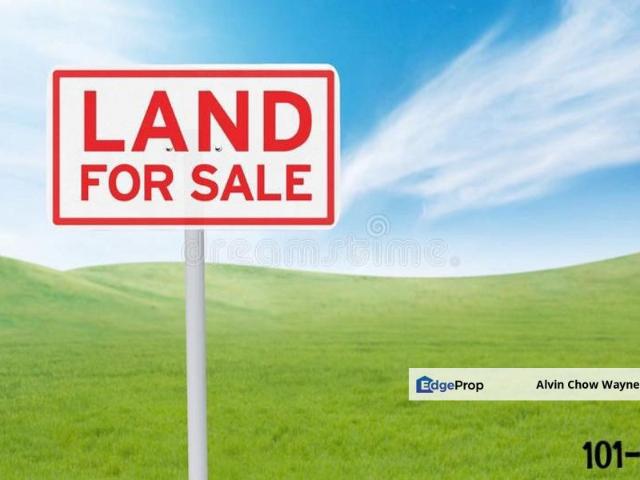 [SUPER LIMITED | Kuala Selangor, Agriculture Land w Palm Oil Trees