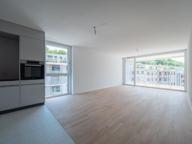 Superb 3.5 room LUP apartment for rent in Vevey!