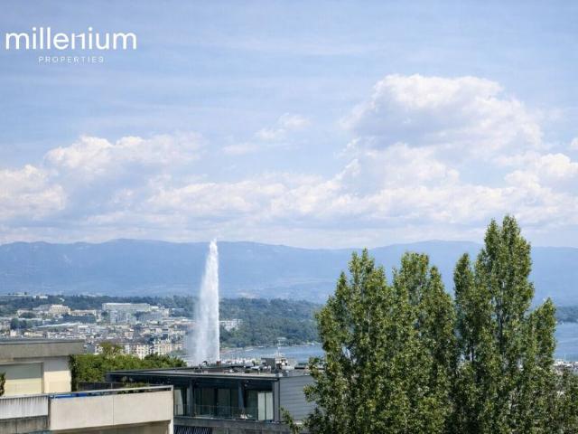 Superb 5.5 room apartment with pool – Malagnou