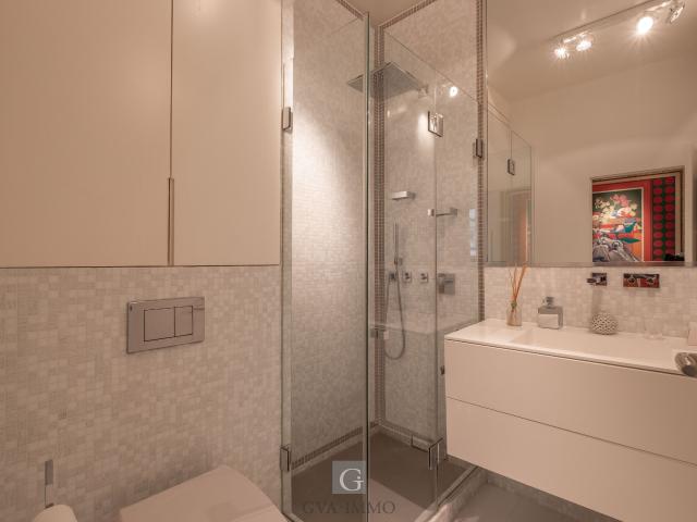Superb apartment in downtown Geneva with large terrace | dreamo. Ch