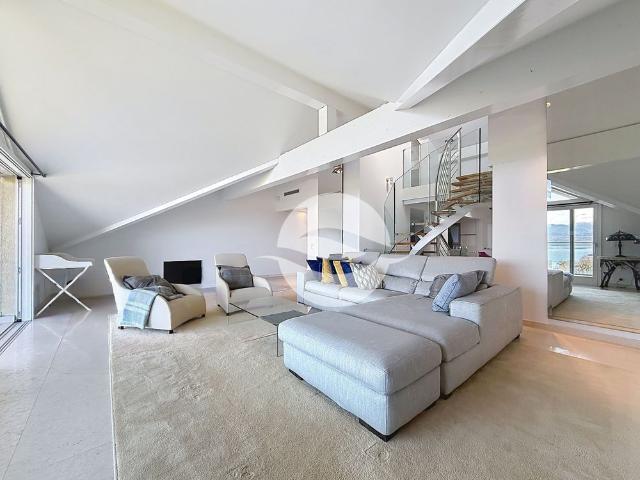 Superb furnished apartment with Lake and Alps view