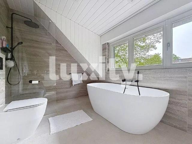 Superb house with large garden in Versoix