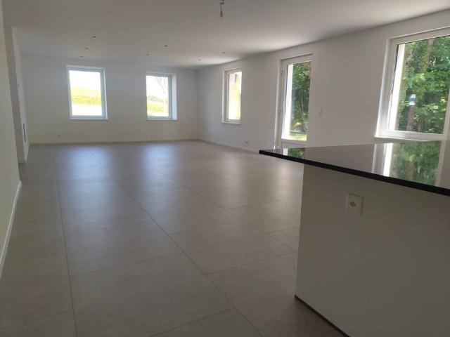 Superbe maison de 8 pièces entièrement rénovée avec double garage