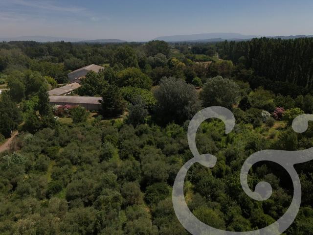 Superbe mas de 360 m² avec piscine à Mollégès