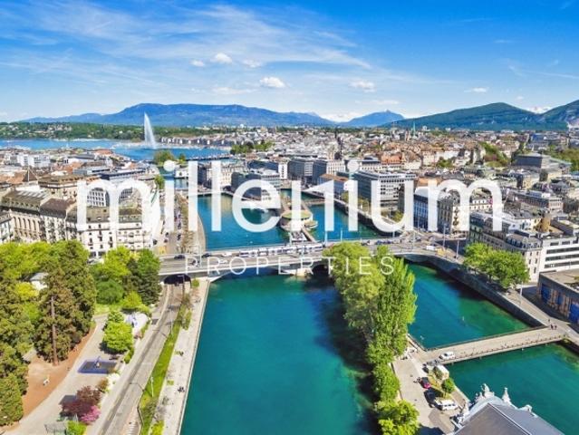 Superbe appartement au Grand Saconnex