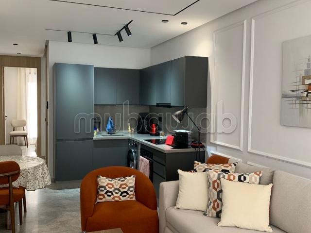 Superbe appartement à louer à Palmier. 1 belle chambre. Meublé
