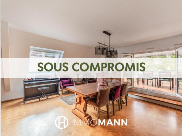 Superbe appartement en duplex Wacken