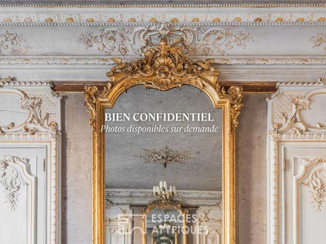 Superbe appartement style haussmannien avec vue Bastille et Vercors