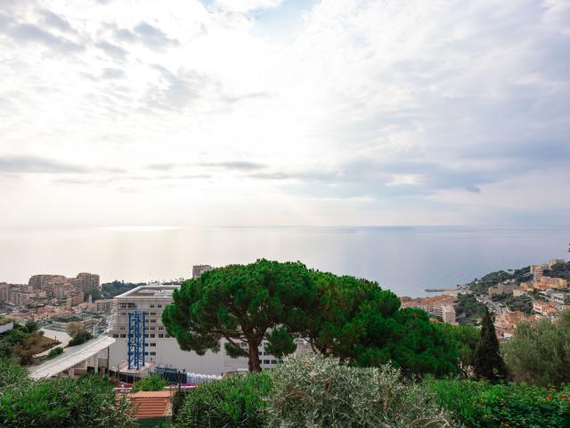 Superbe appartement 3 pièces avec terrasse et vue mer CAP D'AIL