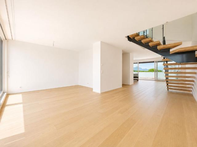 Superbe duplex en attique avec vue Lac et Mont Blanc à Chêne Bougeries