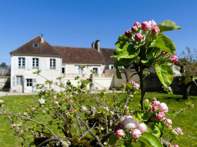 Superbe Domaine Sur Parc 210m² Escolives Sainte Camille