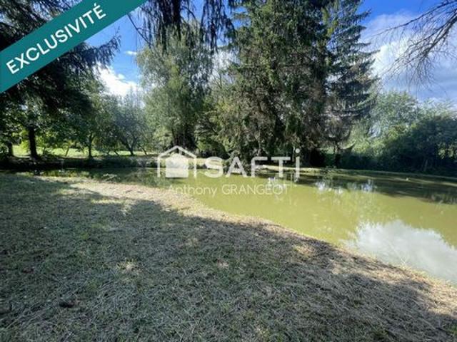 SUPERBE ETANG AVEC GRAND TERRAIN