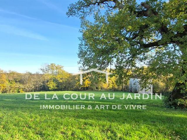 Superbe ensemble de caractère avec potentiel !