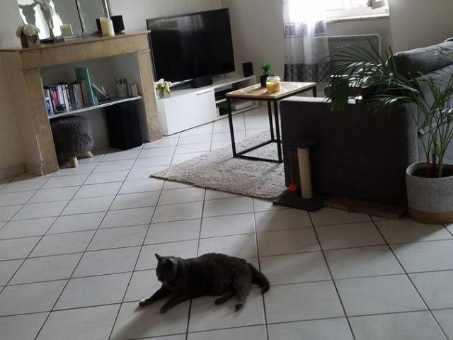 Superbe studio 42 m² dont 14 m² mezzanine