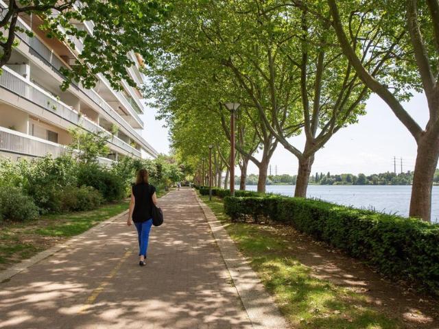 Superbe suite proche du centre ville loyer tout inclus