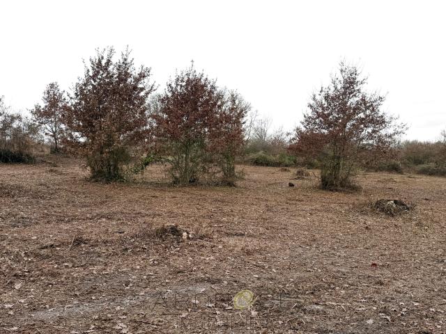 Superbe terrain à batir de 3000 m2