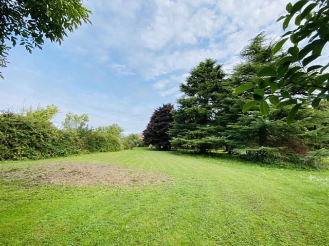 Superbe terrain paysagé et arboré 3 679 m2 dont 874 m2 constructibles