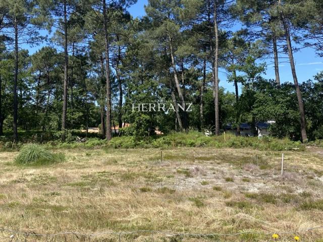 Superbe terrain plat vue sur les pins 15MN Aéroport de Bordeaux MERIGNAC