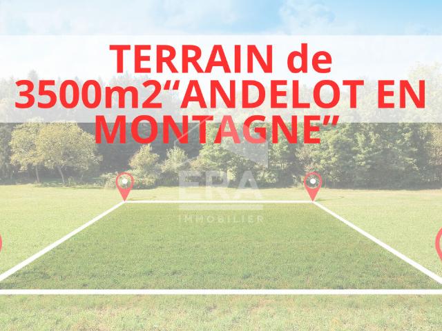 Superbe terrain plat constructible ? Plus de 35 ares ? Idéal projet 2 maisons ? Proche Champagnole / Arbois