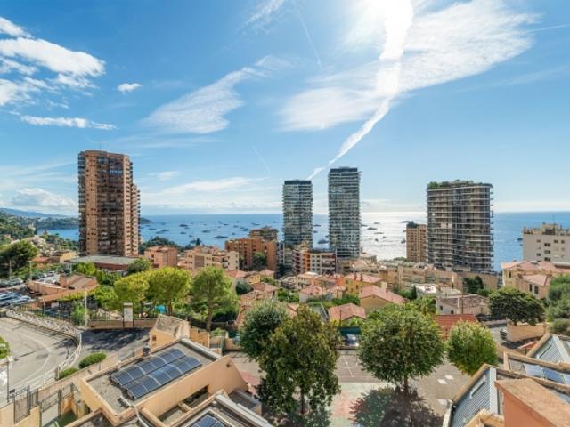 SUPERBE TRIPLEX PROCHE DE MONTE CARLO