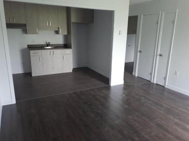 SUPERBE 3 ½ ENTIÈREMENT RÉNOVÉ LIMOILOU 995$ CHAUFFÉ,EAU CHAUDE DISPONIBLE MAINTENANT OU POUR OCTOBRE OU NOVEMBRE