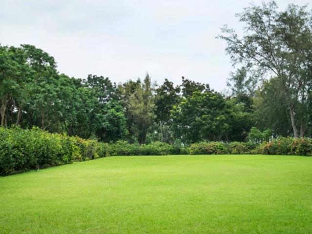 Superbe 3 pièces avec deux terrasses et grand jardin, idéalement situé
