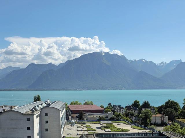 Superbe 4 Zimmer Dachgeschosswohnung mit großer Terrasse und Panoramablick