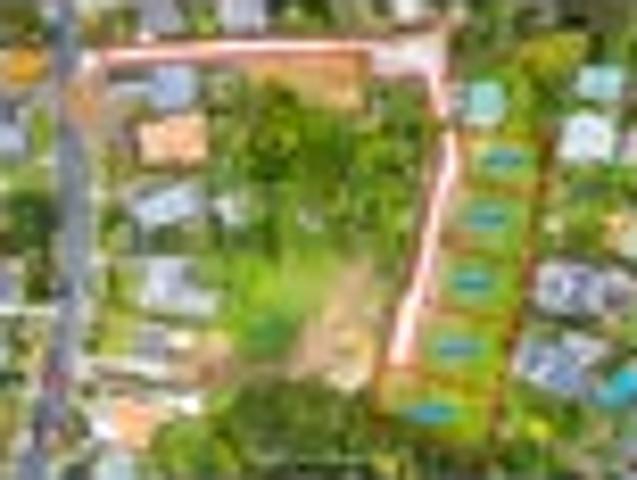 Superior Freehold Section