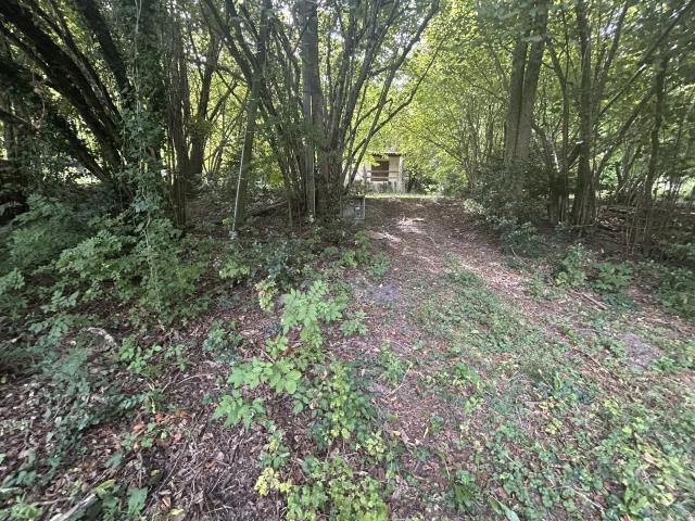 Sur 1 500m², à rénover