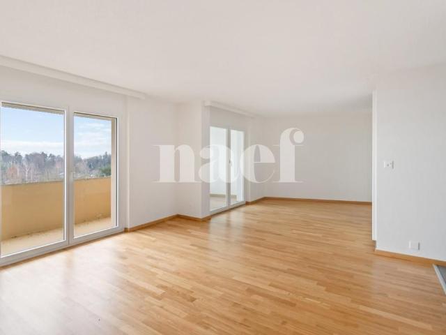 Sur les hauteurs de Neuchâtel, appartement de 4.5 piè.