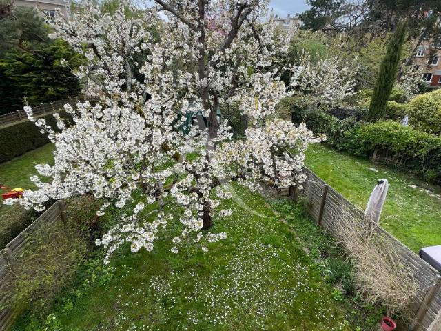 Suresnes Vente Maison 92